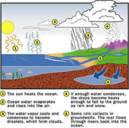 water cycle steps. steps of the water cycle